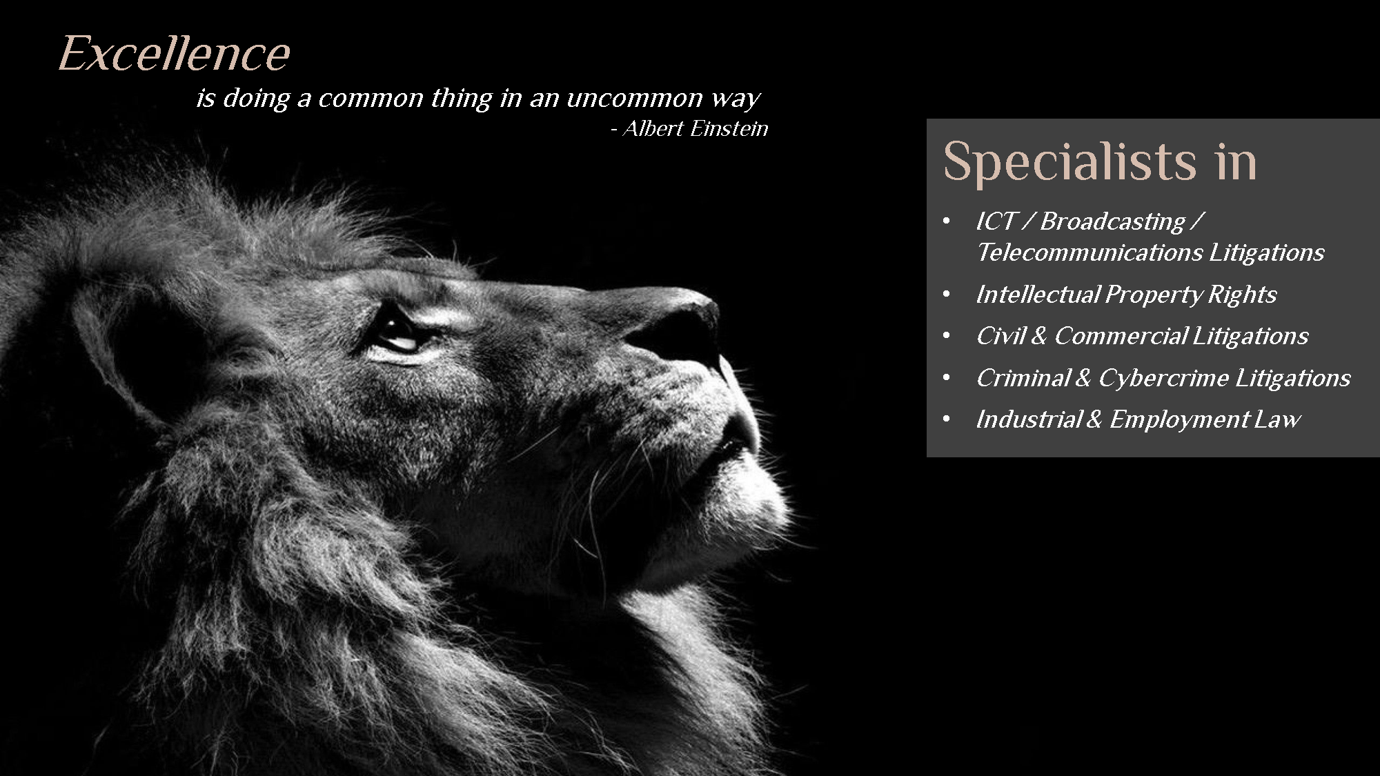 excellence-law-legal-lawfirm